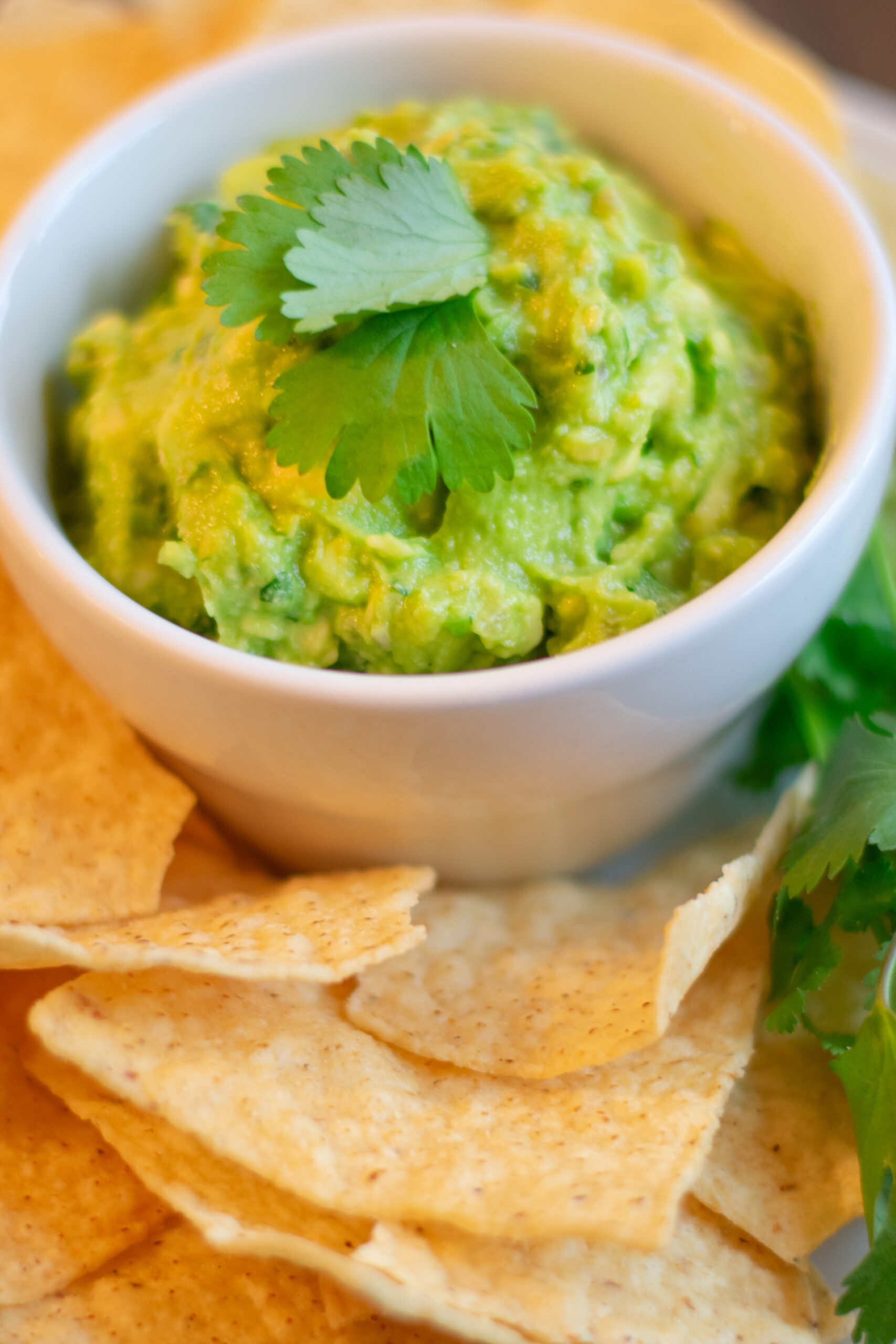 Easy Guacamole with Cilantro Leaf Garnish