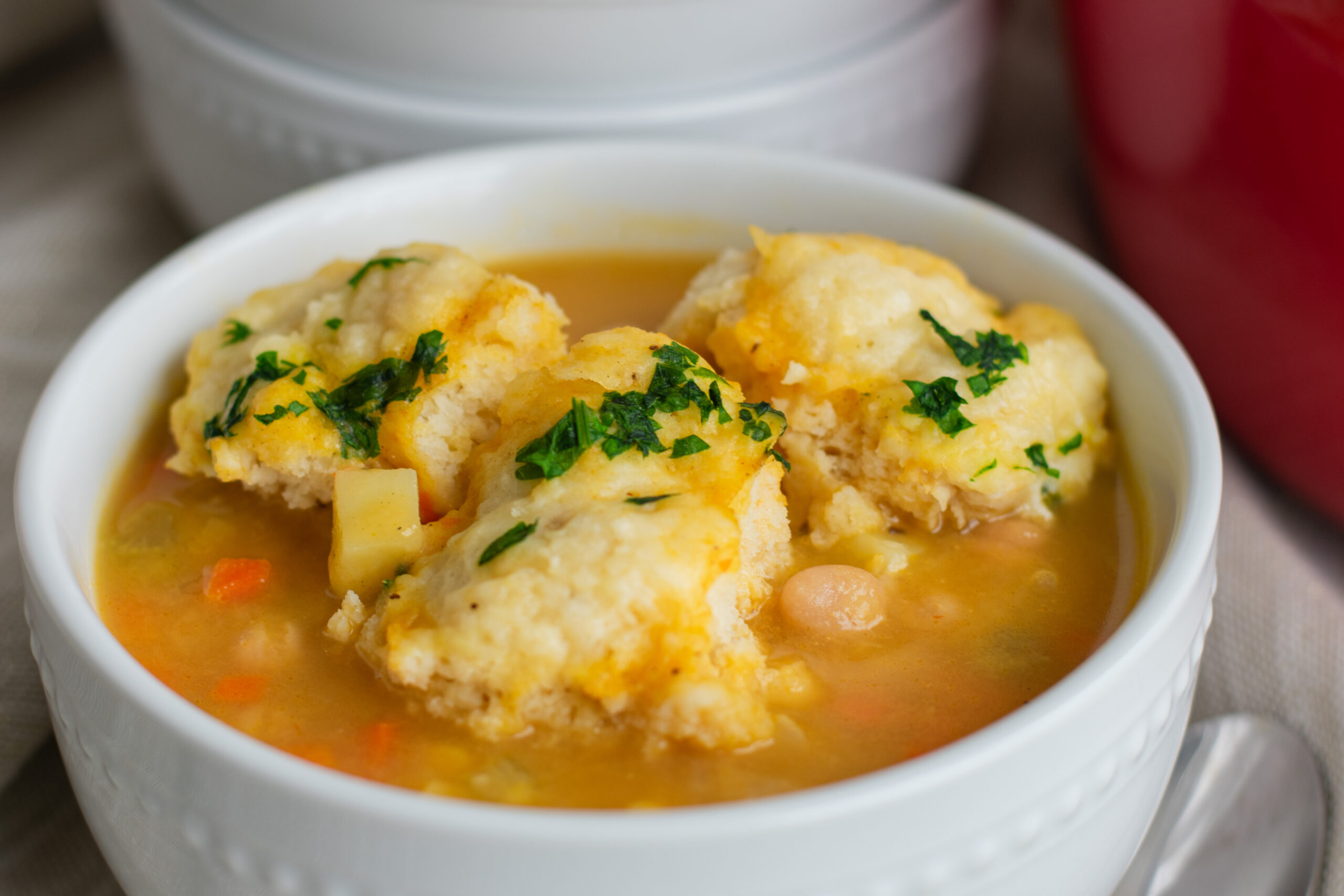 Chickpea Dumpling Soup near dutch oven