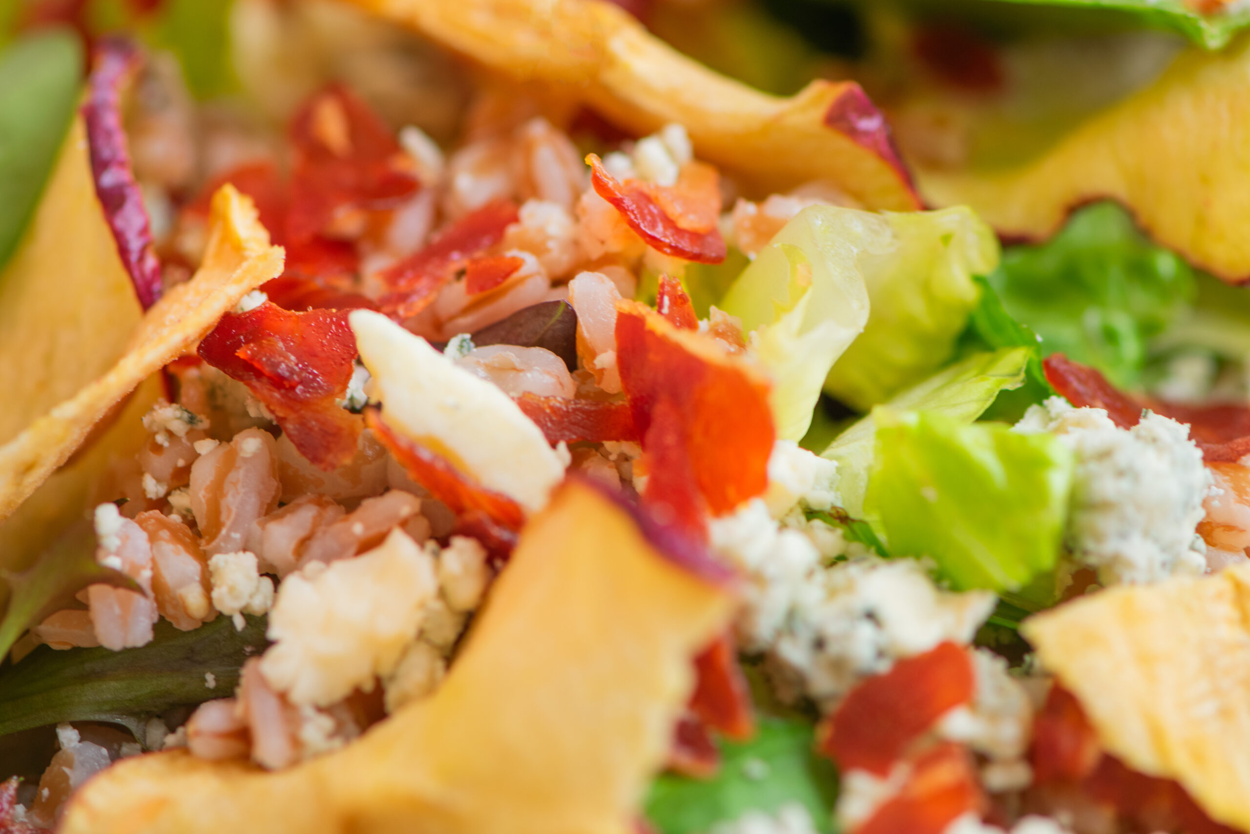 Apple Salad with Farro, Prosciutto, Apple Chips, gorgonzola.