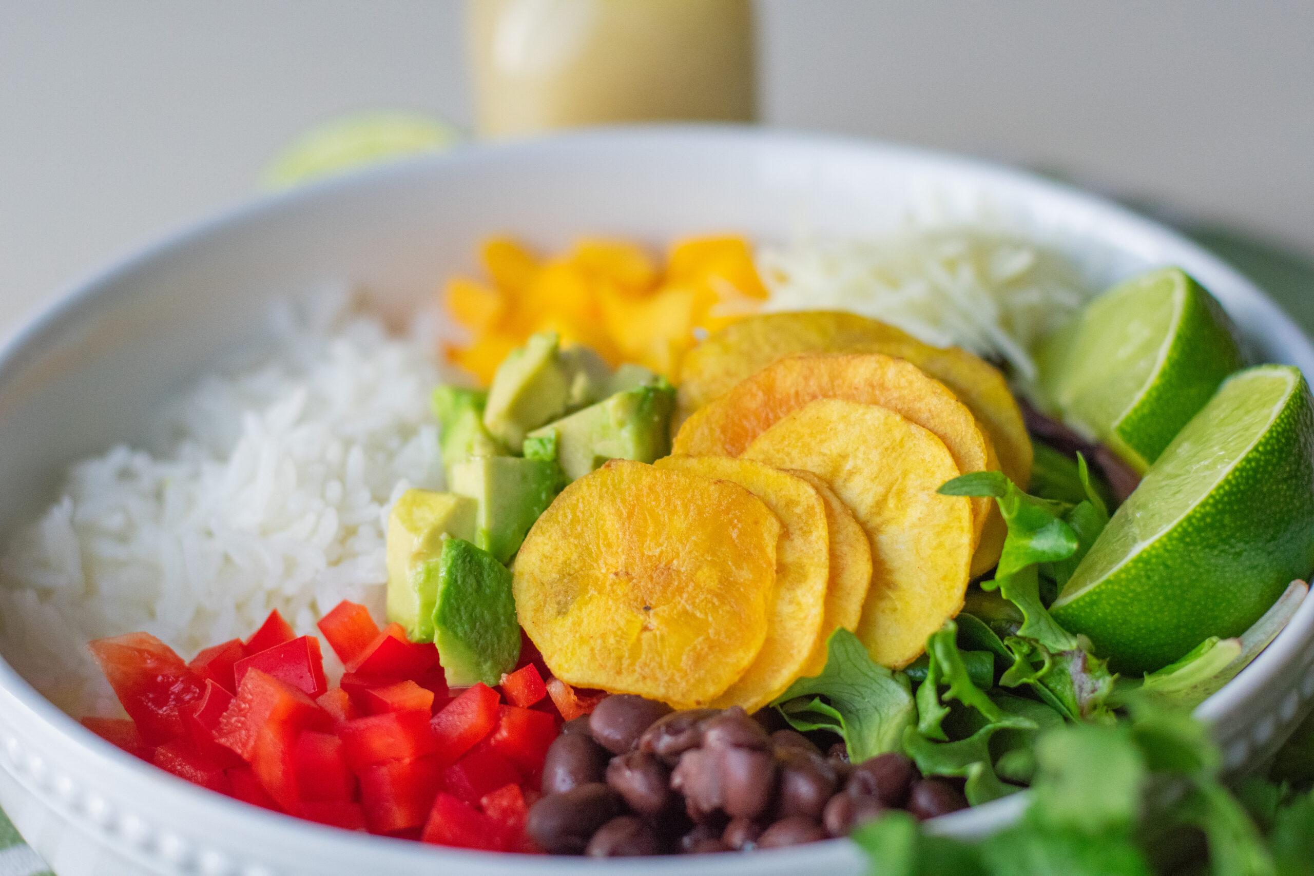 Healthy Cuban Salad Bowl with a fusion of island flavors, fresh greens, and Manchego cheese, perfect for a light meal.