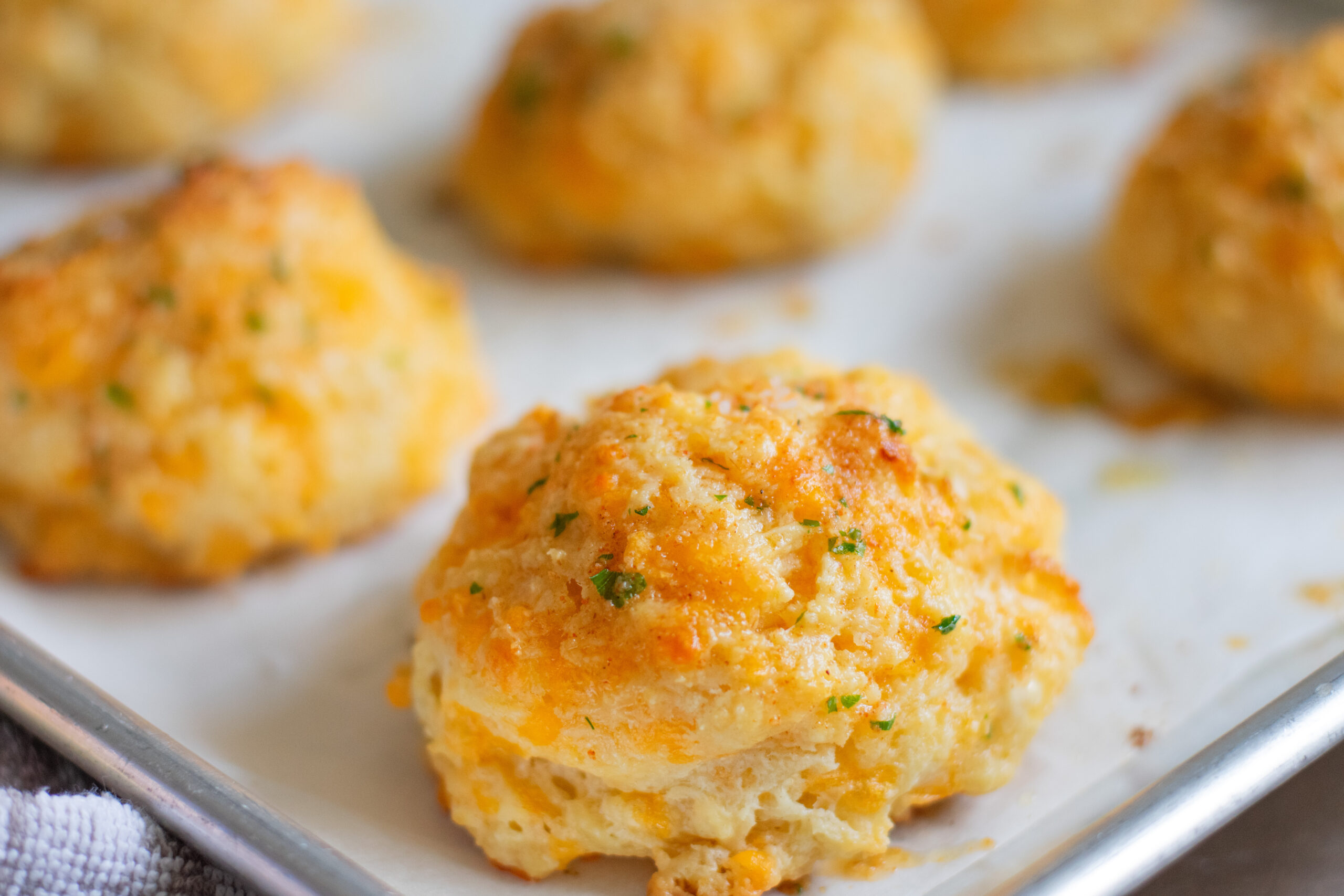 Close-up of a golden homemade buttermilk cheddar biscuit on a baking sheet, with more cheesy garlic biscuits slightly out of focus in the background.