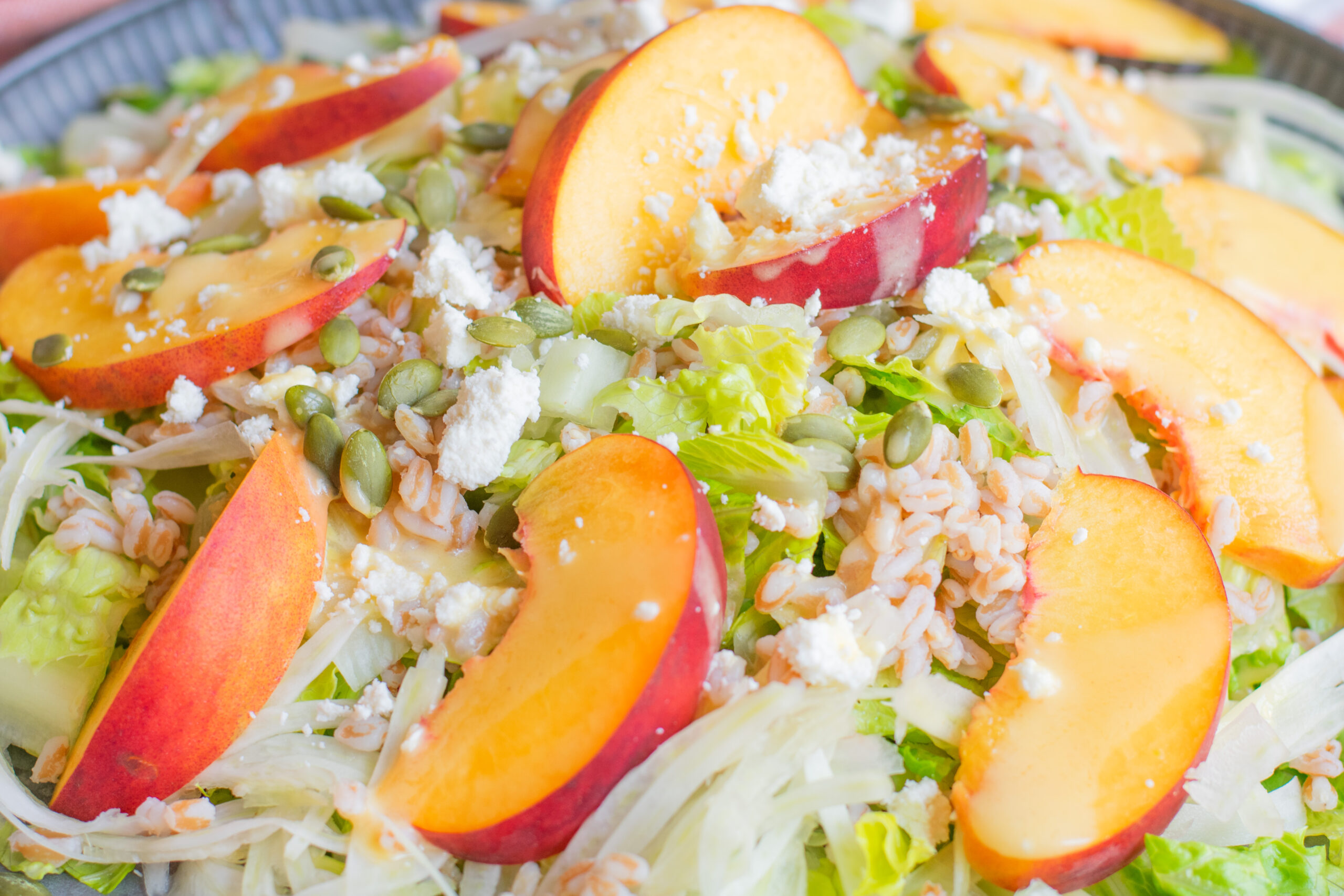 Close-up of peach fennel salad with farro, ricotta salata, pumpkin seeds, and hot honey peach nectar dressing