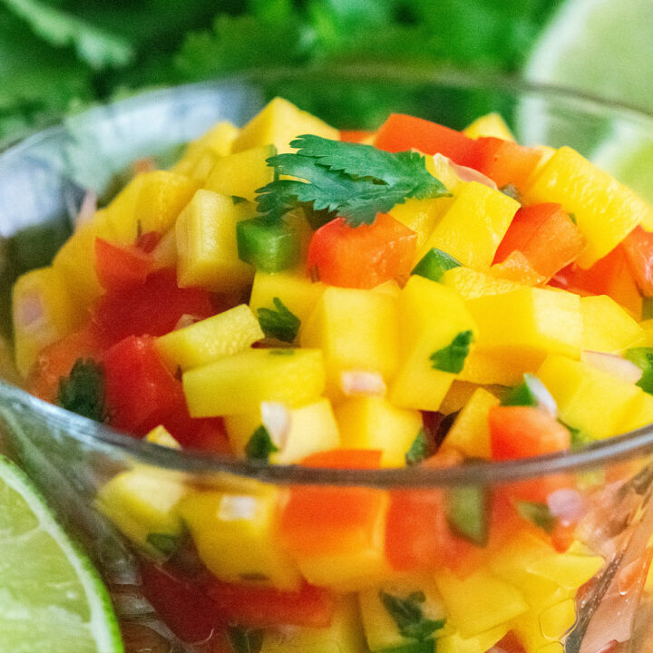 Bowl of quick mango salsa with diced mango, red onion, jalapeño, and cilantro served with tortilla chips