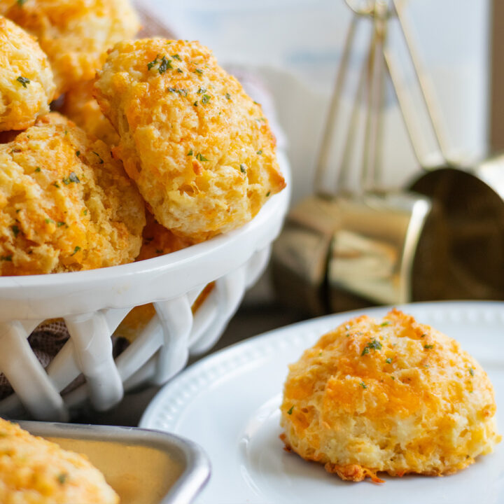 Golden homemade buttermilk cheddar biscuit on a white plate with a pile of cheesy garlic biscuits in the background, topped with fresh parsley and brushed with melted garlic butter.