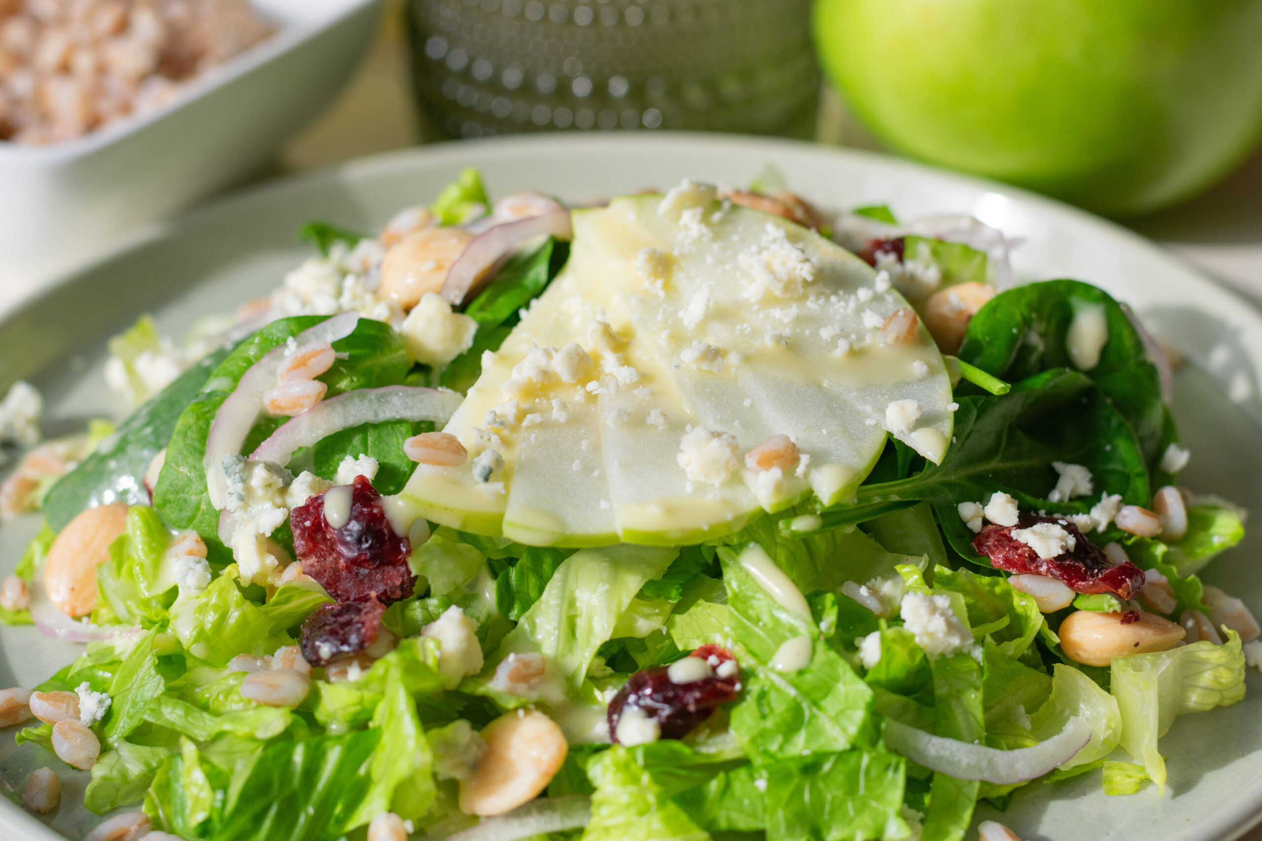 Green apple farro salad with gorgonzola, cranberries, and marcona almonds in a light apple vinaigrette, close-up in a serving plate
